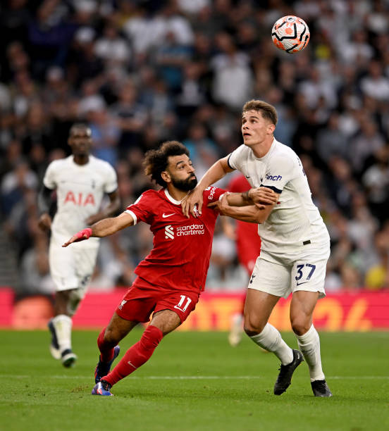 皇马凭借欧 皇马凭借欧